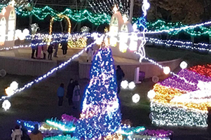 ミレニアムパーク