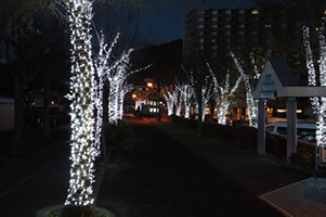 諏訪市湖畔公園